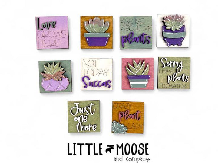 Mini Square Insert - Succulents